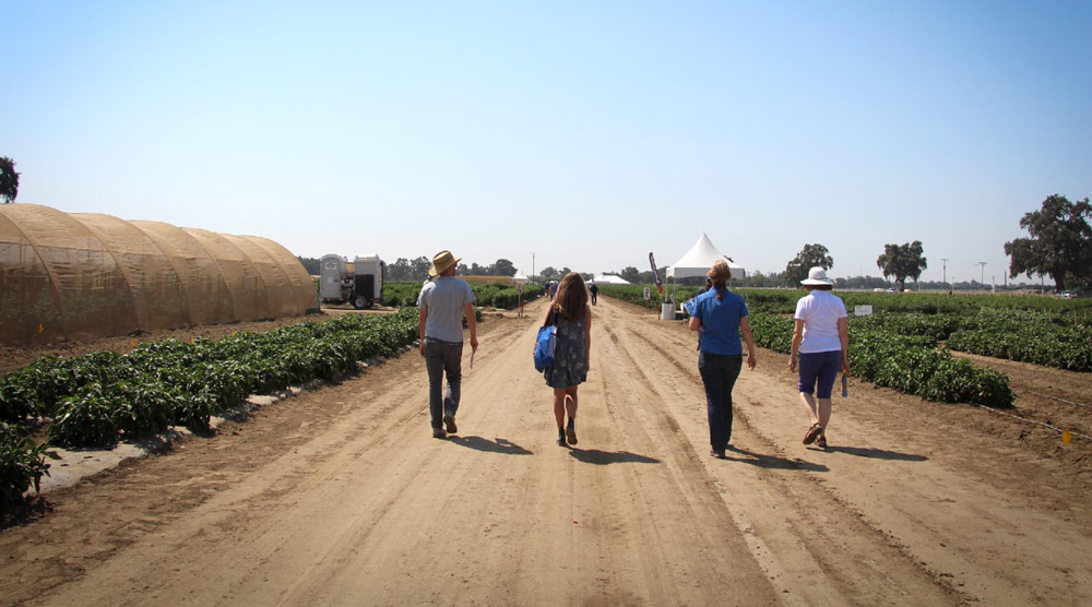 Vegetable Trials