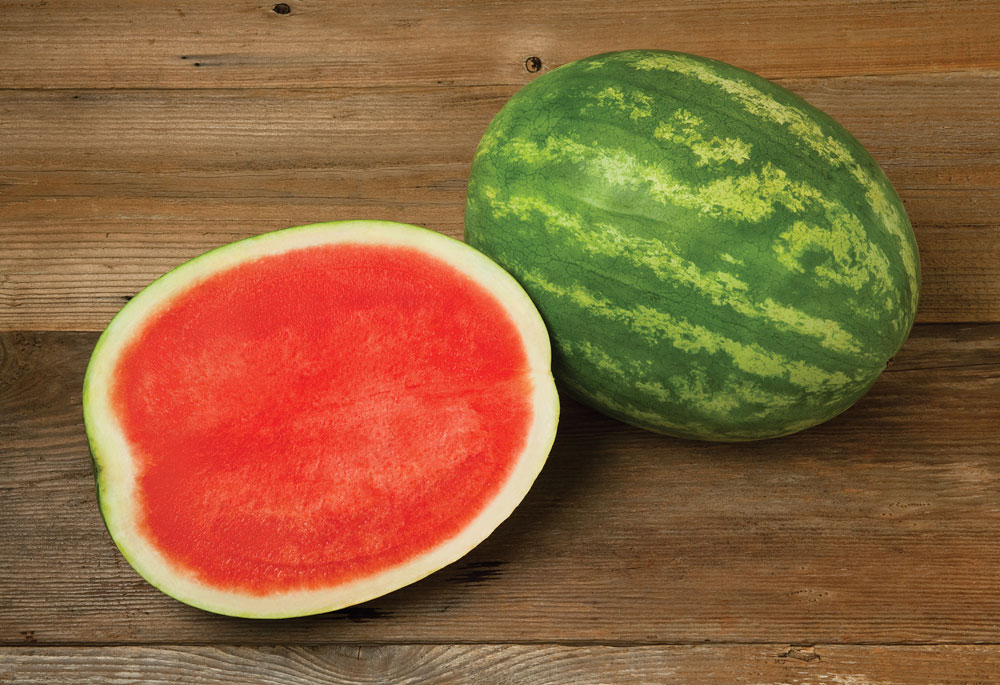 Excursion_US_Watermelon_Seedless_2019